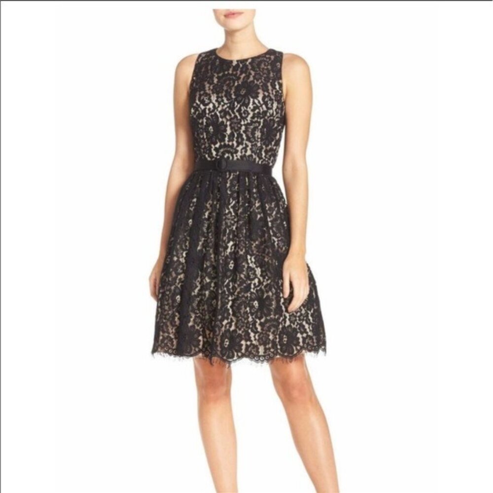 Eliza J Lace Fit‎ and Flare Dress Women 10P Black Floral Cutout Back Belted